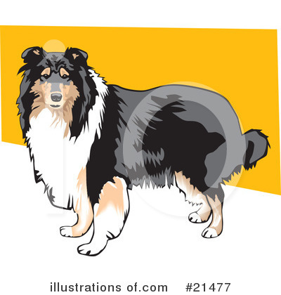 Collie Clipart #21477 by David Rey