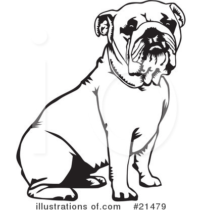 English Bulldog Clipart #21479 by David Rey