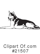 Dogs Clipart #21507 by David Rey