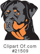 Dogs Clipart #21509 by David Rey