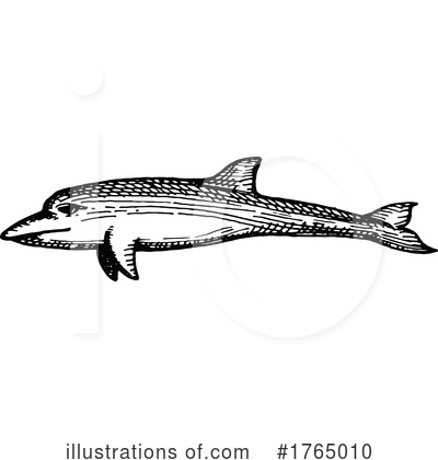 Royalty-Free (RF) Dolphin Clipart Illustration by Vector Tradition SM - Stock Sample #1765010