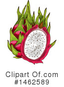 Dragon Fruit Clipart #1462589 by Vector Tradition SM