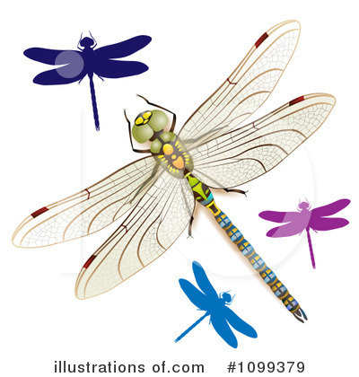 Royalty-Free (RF) Dragonflies Clipart Illustration by merlinul - Stock Sample #1099379