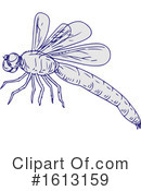 Dragonfly Clipart #1613159 by patrimonio