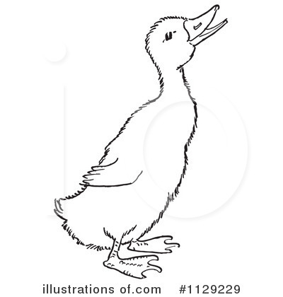 Duck Clipart #1129229 by Picsburg