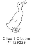 Duck Clipart #1129229 by Picsburg