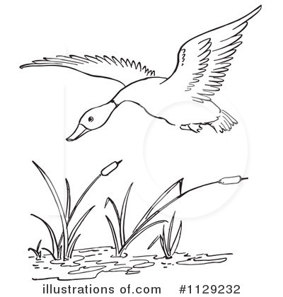 Bird Clipart #1129232 by Picsburg