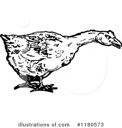 Duck Clipart #1180573 by Prawny Vintage