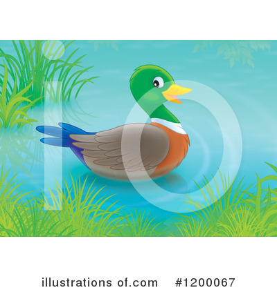 Royalty-Free (RF) Duck Clipart Illustration by Alex Bannykh - Stock Sample #1200067