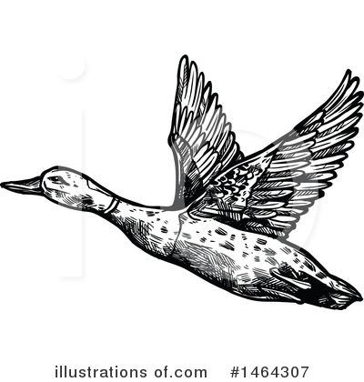 Royalty-Free (RF) Duck Clipart Illustration by Vector Tradition SM - Stock Sample #1464307