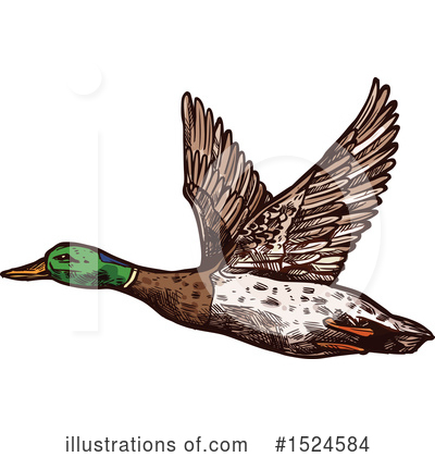 Royalty-Free (RF) Duck Clipart Illustration by Vector Tradition SM - Stock Sample #1524584