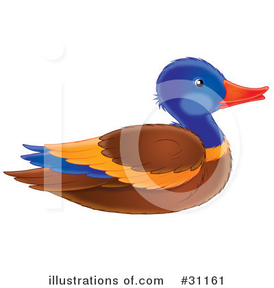 Mallard Duck Clipart #31161 by Alex Bannykh