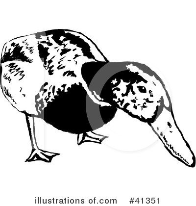 Royalty-Free (RF) Duck Clipart Illustration by Prawny - Stock Sample #41351