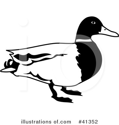 Royalty-Free (RF) Duck Clipart Illustration by Prawny - Stock Sample #41352