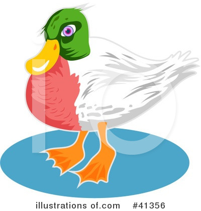 Ducks Clipart #41356 by Prawny