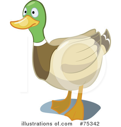 Mallard Duck Clipart #75342 by Frisko
