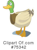 Duck Clipart #75342 by Frisko