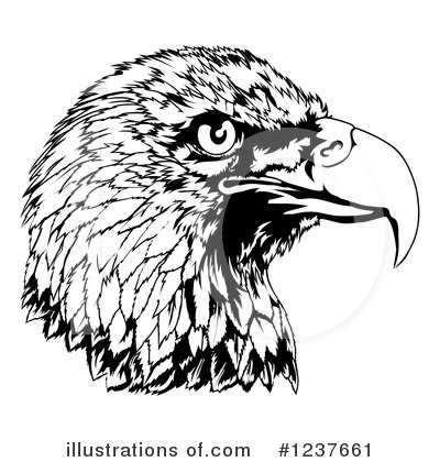 Royalty-Free (RF) Eagle Clipart Illustration by AtStockIllustration - Stock Sample #1237661
