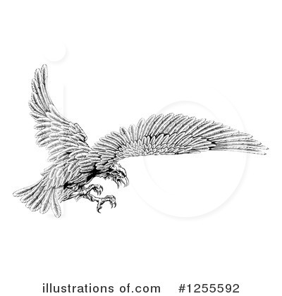 Eagle Clipart #1255592 by AtStockIllustration