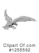 Eagle Clipart #1255592 by AtStockIllustration