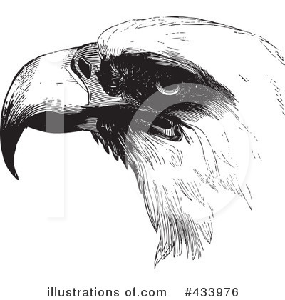 Eagles Clipart #433976 by BestVector