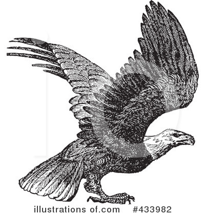 Royalty-Free (RF) Eagle Clipart Illustration by BestVector - Stock Sample #433982