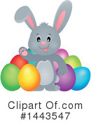 Easter Bunny Clipart #1443547 by visekart