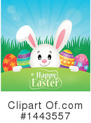 Easter Bunny Clipart #1443557 by visekart