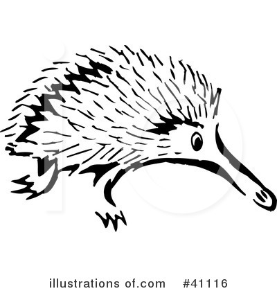 Royalty-Free (RF) Echidna Clipart Illustration by Dennis Holmes Designs - Stock Sample #41116