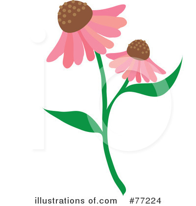 Royalty-Free (RF) Echinacea Clipart Illustration by Rosie Piter - Stock Sample #77224