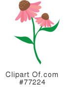 Echinacea Clipart #77224 by Rosie Piter