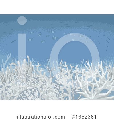 Coral Clipart #1652361 by BNP Design Studio