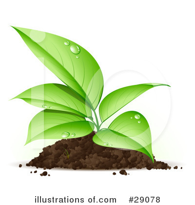 Seedling Clipart #29078 by beboy
