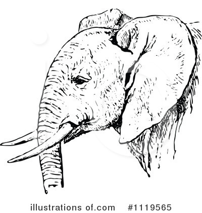 Elephant Clipart #1119565 by Prawny Vintage