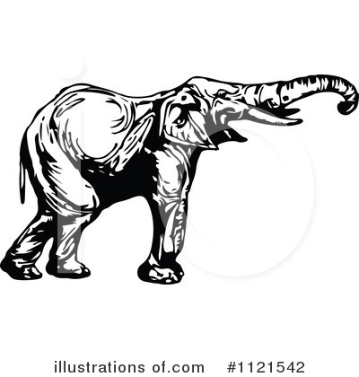 Elephant Clipart #1121542 by Prawny Vintage