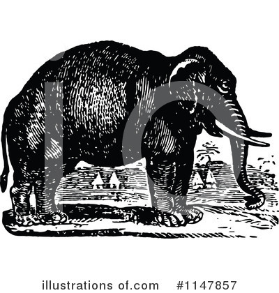 Elephant Clipart #1147857 by Prawny Vintage