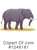 Elephant Clipart #1246181 by BNP Design Studio