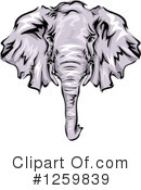 Elephant Clipart #1259839 by BNP Design Studio