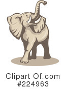 Elephant Clipart #224963 by patrimonio