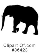 Elephant Clipart #36423 by dero