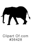 Elephant Clipart #36428 by dero