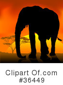 Elephant Clipart #36449 by dero