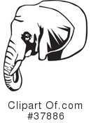 Elephant Clipart #37886 by David Rey