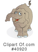 Elephant Clipart #40920 by Snowy