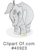 Elephant Clipart #40923 by Snowy