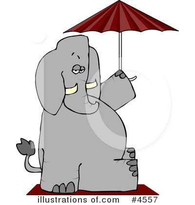 Umbrella Clipart #4557 by djart