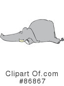 Elephant Clipart #86867 by djart