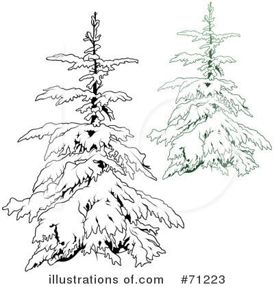 Royalty-Free (RF) Evergreen Clipart Illustration by dero - Stock Sample #71223