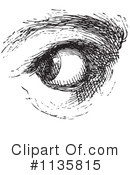 Eye Clipart #1135815 by Picsburg