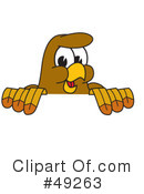 Falcon Character Clipart #49263 by Mascot Junction